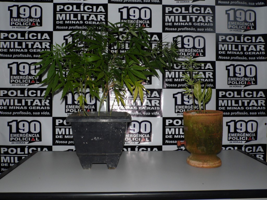 1 (2)
