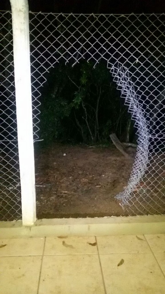 Local aberto pelos criminosos