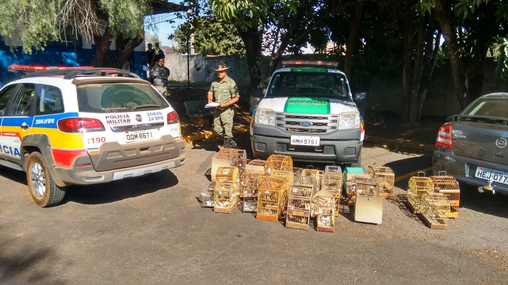 IMG_20150724_093810663_HDR-1024x576 Polícia Militar realiza Operação “Seis Côvados”
