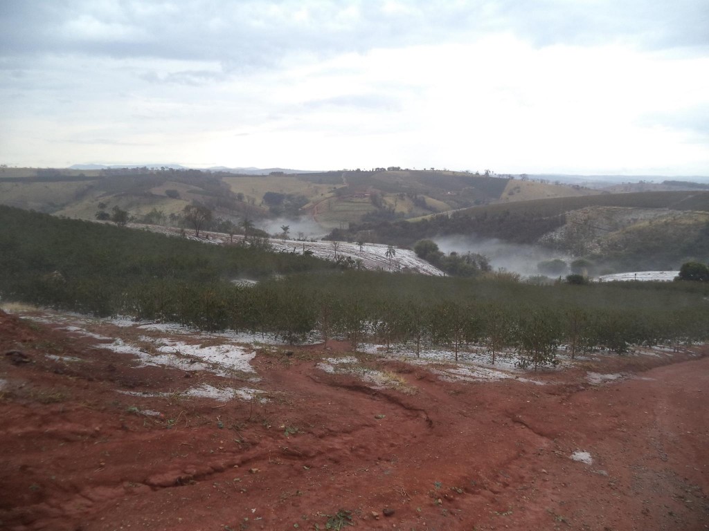 11896504_996364217051948_7087160779951544146_o-1024x768 Chuva de Ganizo atinge 600 hectares e gera prejuízo a 40 produtores rurais