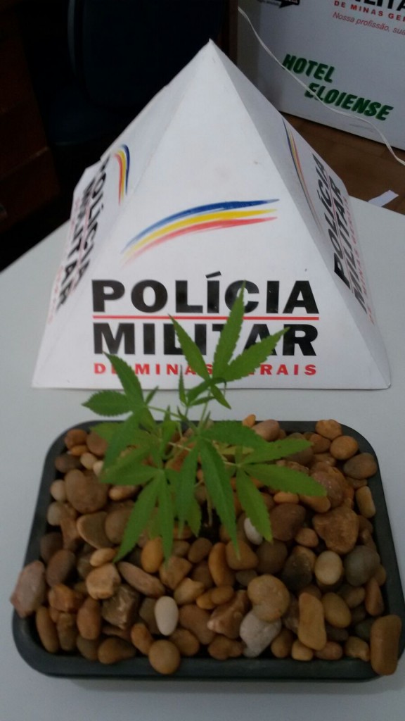 IMG-20151201-WA0000